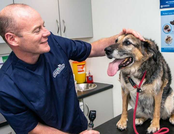 Services available at Barry's Vets